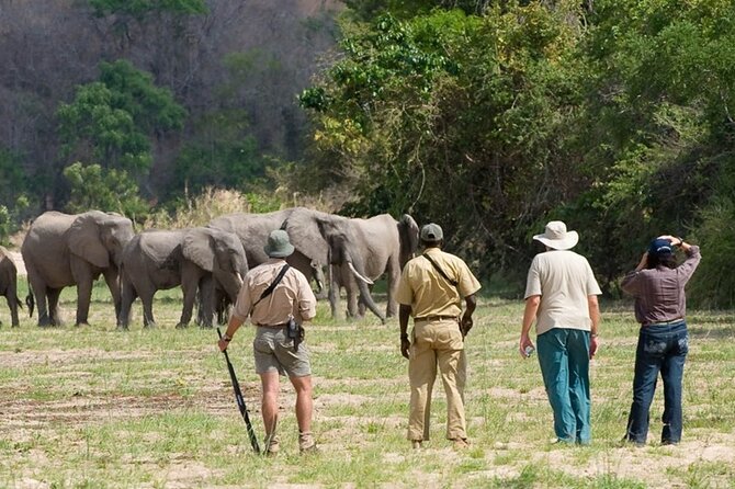 3-Days Private Nyerere NP Game Drive and Boat safari tour - Day one: the road to Nyerere and the Rufiji River