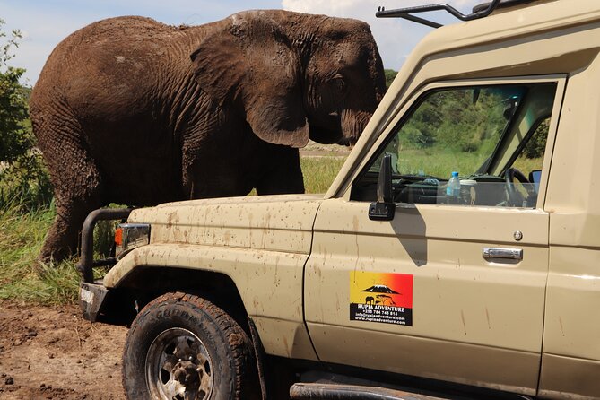 3 Days Private Safari - manyara, Ngorongoro & Tarangire - Day 1: Lake Manyara, flamingos, elephants, and forest