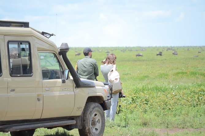 3 Days private safari Tarangire ,Ngorongroro crater &Manyara - Day one: Tarangire’s elephants and baobabs
