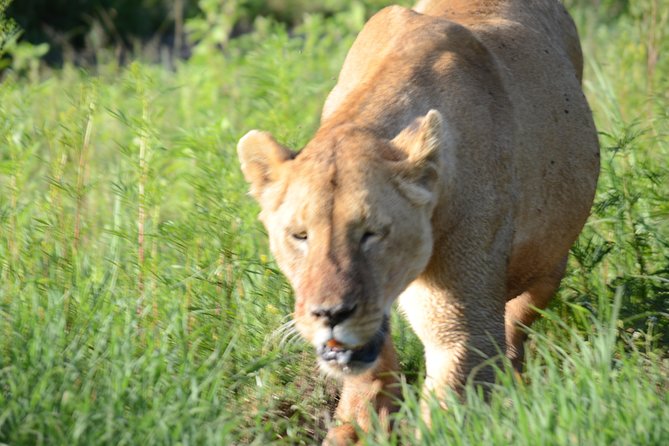 3 Days private safari Tarangire ,Ngorongroro crater &Manyara - What the private format changes