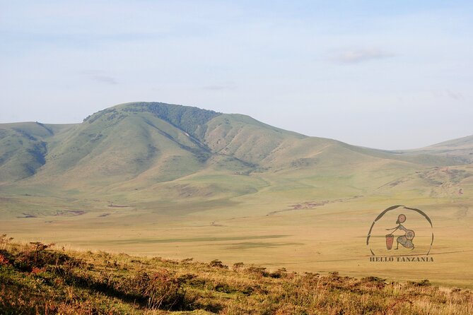 3 days safari in North- Ngorongoro, Tarangire, Mt. Oldeani - How the $828.24 price looks in real terms