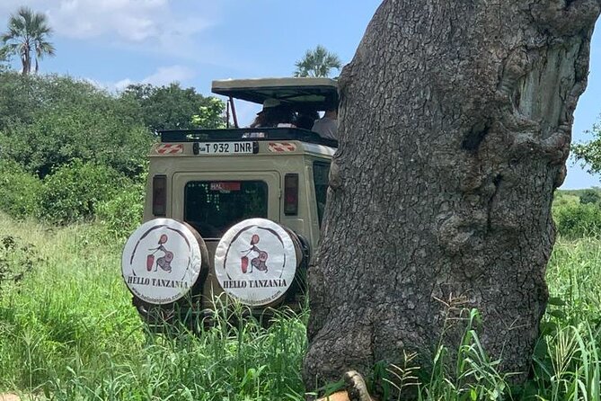 3 days safari in North- Ngorongoro, Tarangire, Mt. Oldeani - Booking questions worth asking before you pay
