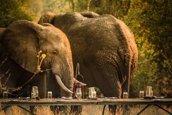 3 Days Safari - Mikumi National Park - Why Mikumi Works Well From Dar es Salaam