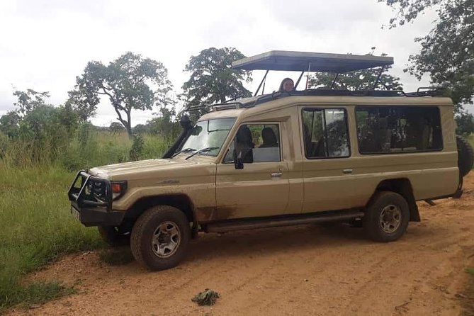 3 Days Safari - Mikumi National Park - Camp Life, Meals, and Accommodation