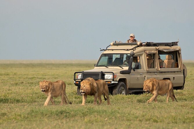 3 Days Safari Ngorongoro Crater and Serengeti National Park - The real shape of this three-day safari