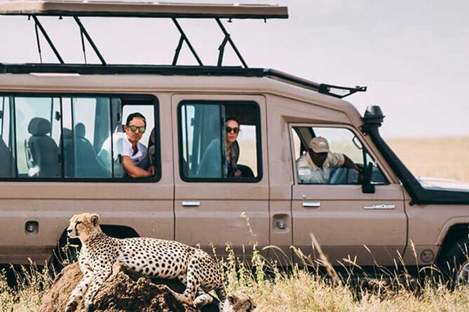 3 Days Safari Ngorongoro Crater and Serengeti National Park - Day three: down into Ngorongoro Crater