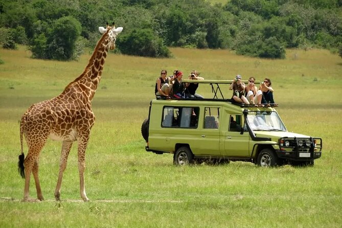 3 Days Safari Ngorongoro Crater and Serengeti National Park - Why the guides and cook matter