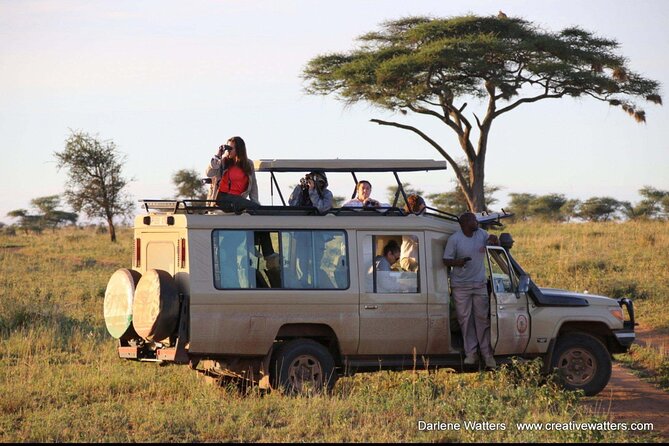 3 Days Safari Ngorongoro Crater and Serengeti National Park - Is $810 good value?