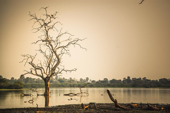 3 Days Safari - Selous Game Reserve - Why Selous Works for a Three-Day Safari