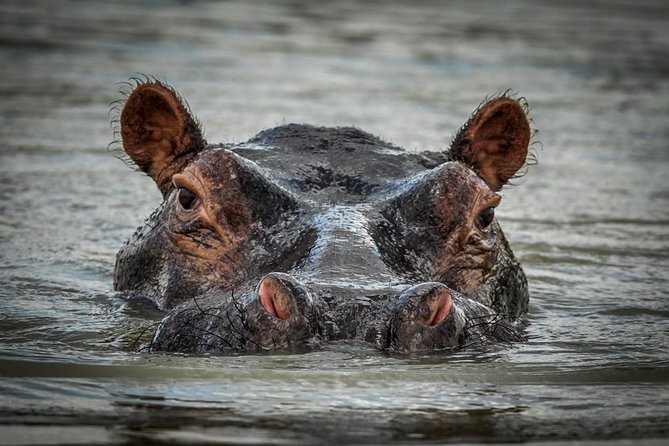 3 Days Safari - Selous Game Reserve - Sunset on the Rufiji River