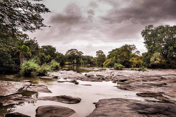 3 Days Safari - Selous Game Reserve - Nine Hours in Search of Wildlife