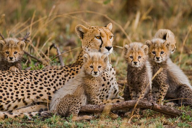 3 Days Safari Serengeti & Ngorongoro Crater - Why this three-day route works