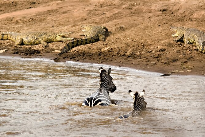 3 Days Safari Serengeti & Ngorongoro Crater - How the small group affects the safari
