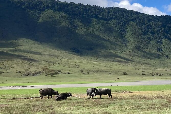 3 Days Safari Serengeti NP and Ngorongoro Crater - The $962 price and who gets good value
