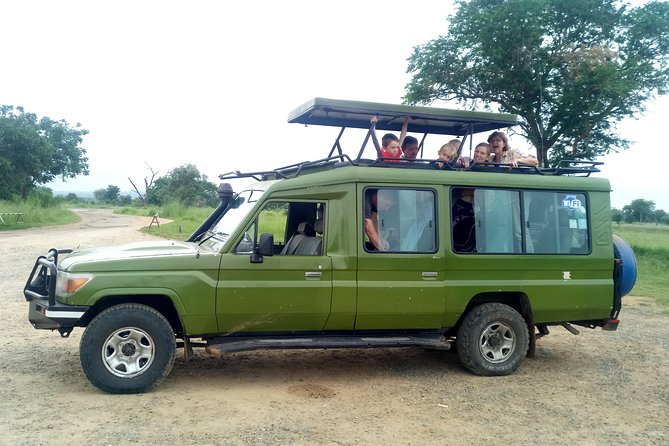 3 Days Safari to Mikumi NP - Accommodation Inside the Park - Day three: why sleeping inside the park is worth considering
