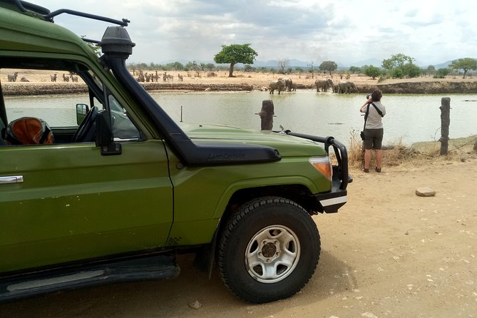 3 Days Safari to Mikumi NP - Accommodation Inside the Park - The guide can shape the whole experience