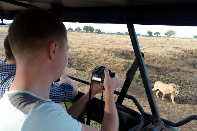 3 Days Safari to Mikumi NP - Accommodation Inside the Park - Should you book this Mikumi safari?