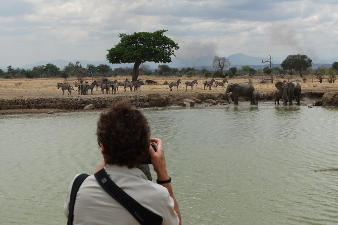 3 Days Safari to Mikumi NP - Accommodation Inside the Park - Day two: a full ten-hour search across the Mkata Floodplain