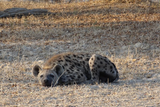 3 Days Safari to Nyerere National Park (Selous Game Reserve) - Who will get the most from this safari
