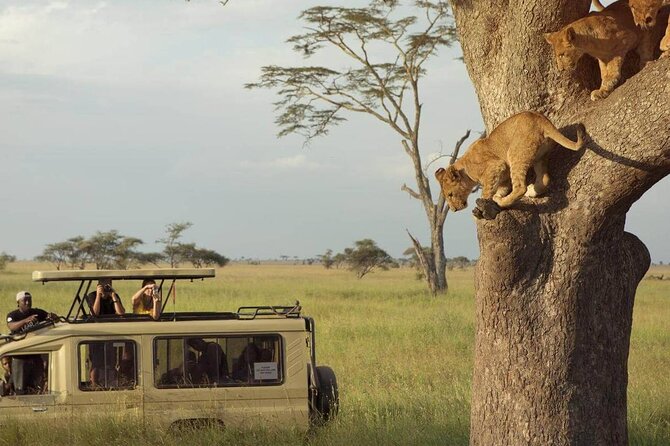 3 Days Safari to Serengeti National Park & Ngorongoro Crater in Tanzania - Why this three-day route works
