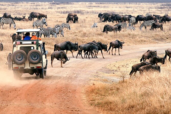 3 days Safari to Tarangire, Ngorongoro and Manyara from Zanzibar - Ngorongoro Crater: the trip’s biggest wildlife promise