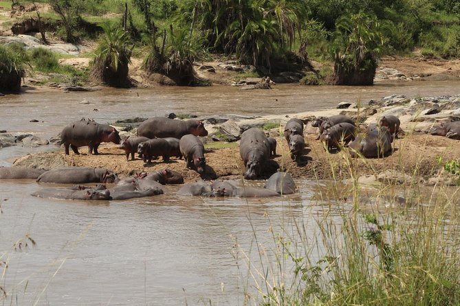 3 Days Safari Tour in Lake Manyara and Ngorngoro - Why Lake Manyara makes a strong first safari day
