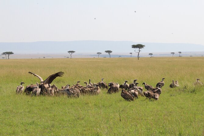 3 Days Safari Tour in Lake Manyara and Ngorngoro - Descending more than 600 meters into the crater