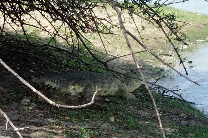 3 Days Selous (Nyerere National Park) - Day 3: walking safari and the return to Dar es Salaam
