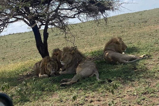 3 Days Selous (Nyerere National Park) - What the private format adds
