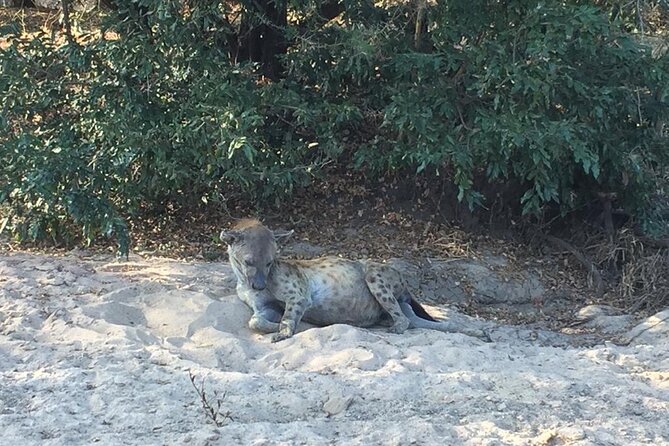 3 Days Selous (Nyerere National Park) - Day 1: the road south and the Rufiji River