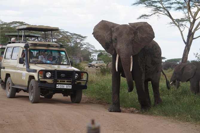 3 Days Serengeti and Ngorongoro Crater Safari from Mwanza to Arusha - Key points to know before booking