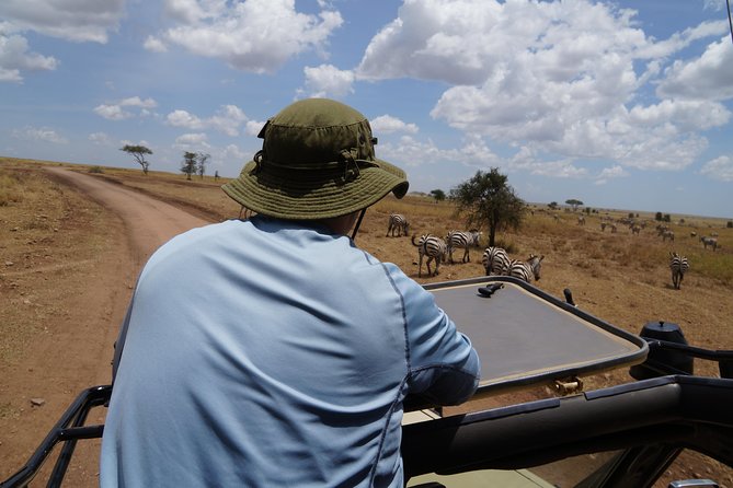 3 Days Serengeti and Ngorongoro Crater Safari from Mwanza to Arusha - Day 1: Entering the Serengeti from the Mwanza side