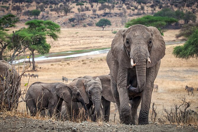 3 Days Serengeti and Ngorongoro Crater Safari from Mwanza to Arusha - Accommodation, meals, and what the price covers