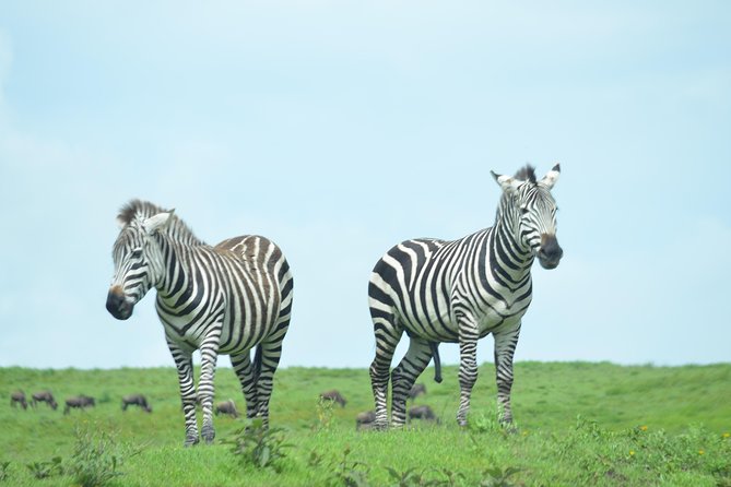 3 Days Serengeti & Ngorongoro Crater group safari - The optional Maasai village visit