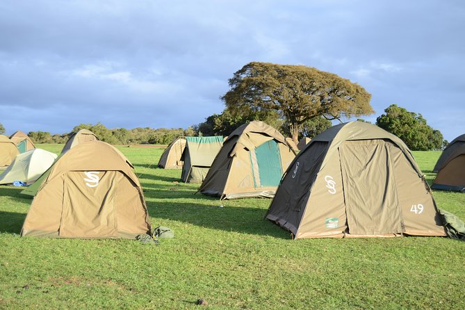 3 Days Serengeti & Ngorongoro Crater group safari - Serengeti wildlife on day two