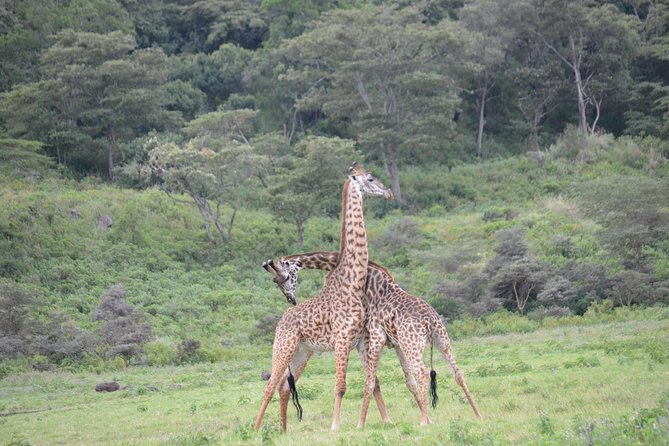 3 Days Serengeti & Ngorongoro Crater group safari - A quick Ngorongoro viewpoint stop