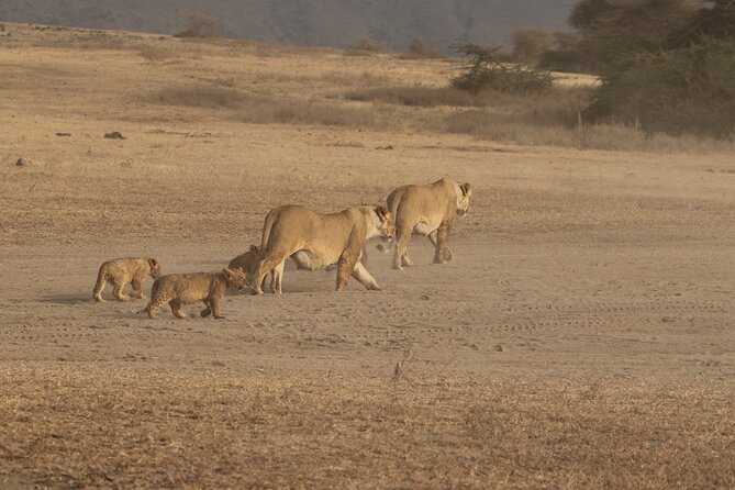 3 Days Serengeti & Ngorongoro Group Camping Safari - Why this three-day route works