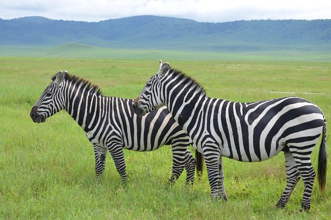 3 Days Serengeti & Ngorongoro Lodge Safari - The Ngorongoro viewpoint and optional Maasai visit