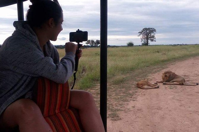 3 Days Serengeti & Ngorongoro Tour - Guides, drivers, and the small-group advantage