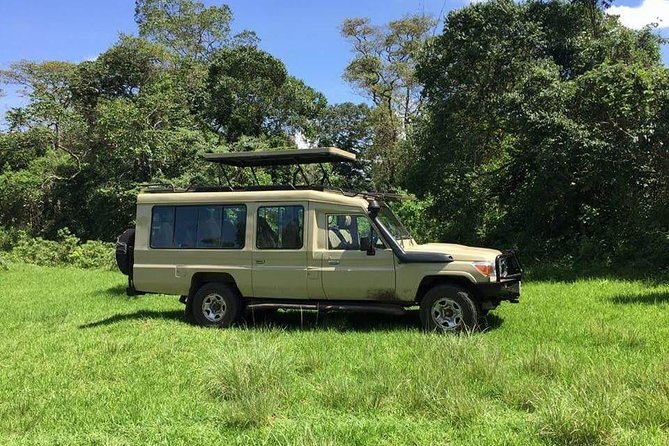3 Days Serengeti & Ngorongoro Tour - Day 2: More wildlife in Seronera, then the crater rim