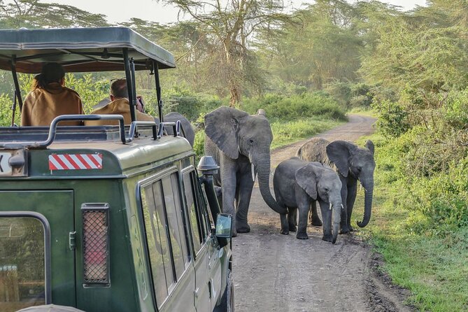 3 Days Serengeti Park & Ngorongoro Crater Adventure Safari - Why this short safari works