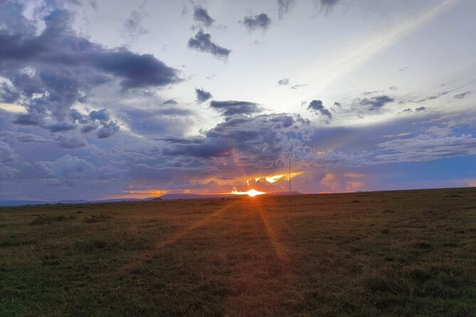 3 Days Small Group Safari to Serengeti NP and Ngorongoro Crater Tour in Tanzania - Who should book this three-day safari?
