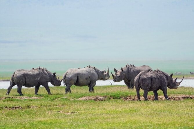 3 Days Tanzania Budget Group Joining Safari Tour - Camping, Meals, and Daily Comfort