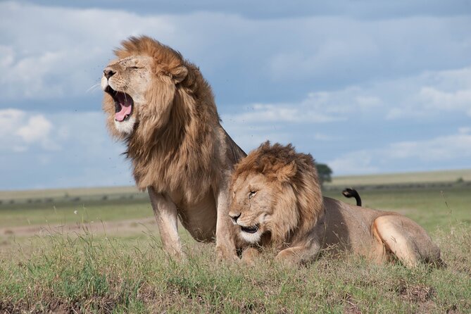 3 Days Tanzania Budget Group Joining Safari Tour - Day 3: Lake Manyara’s Water and Birdlife