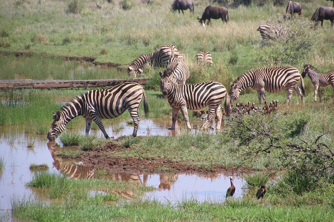3 Days Tanzania Private Budget Safari to Serengeti & Ngorongoro - Why this three-day route works