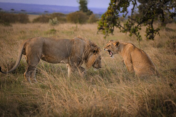 3 Days Tanzania Private Budget Safari to Serengeti & Ngorongoro - Leaving Arusha at 7:00 am