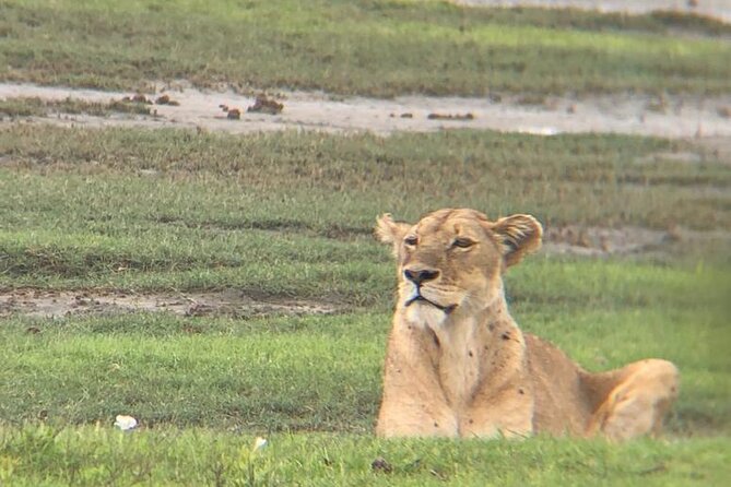 3 Days Tanzania Safari - Why a group of six is a useful limit
