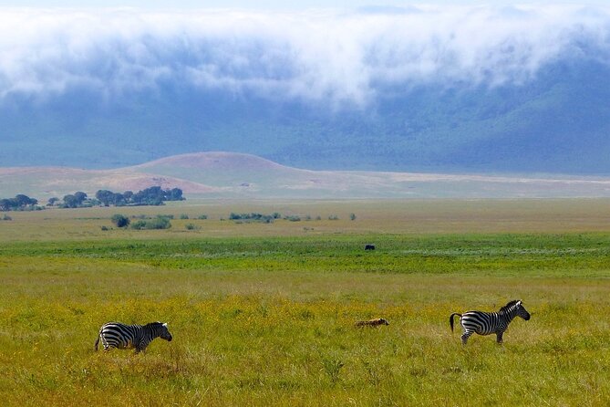 3 Days Tanzania Safari: Tarangire, Manyara and Ngorongoro Crater - What $998.65 buys you in northern Tanzania
