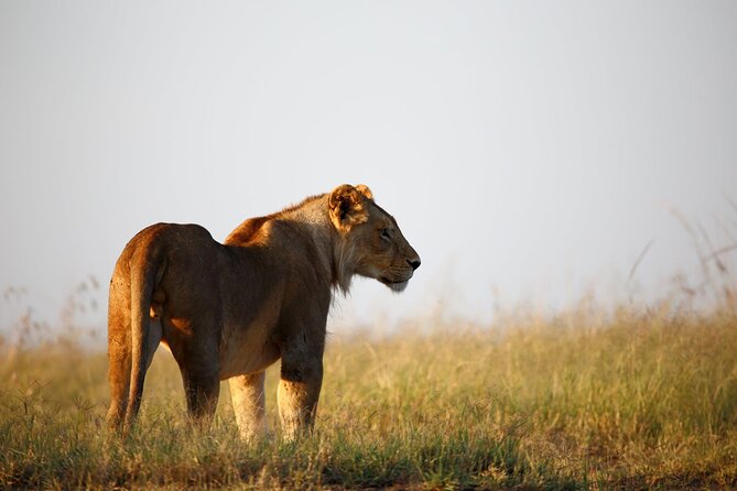 3 Days Tanzania Safari to Manyara Tarangire and Ngorongoro - What the $700 price really covers