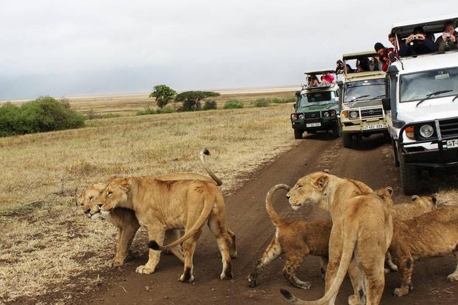 3-Days Tanzania Safari Tours - What the $1,140 price covers
